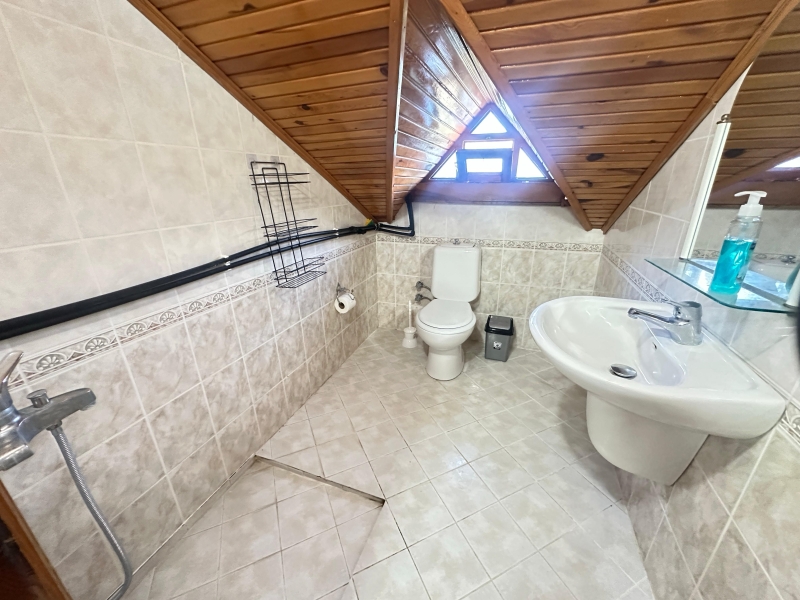 Vills Minnoş